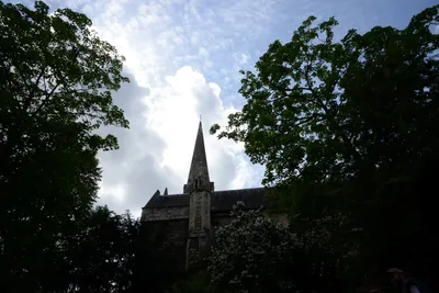 DSC_2772 (Large).JPG